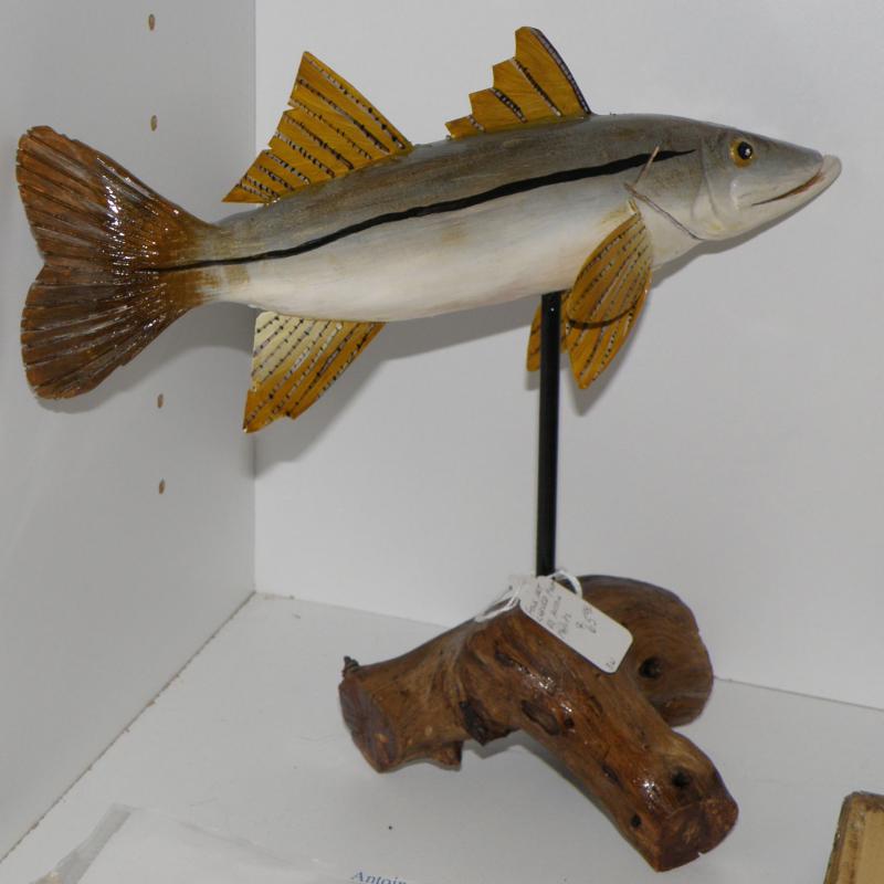 Austin Philips Snook  Fish Carving 