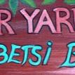 Betsi's Yard Art 