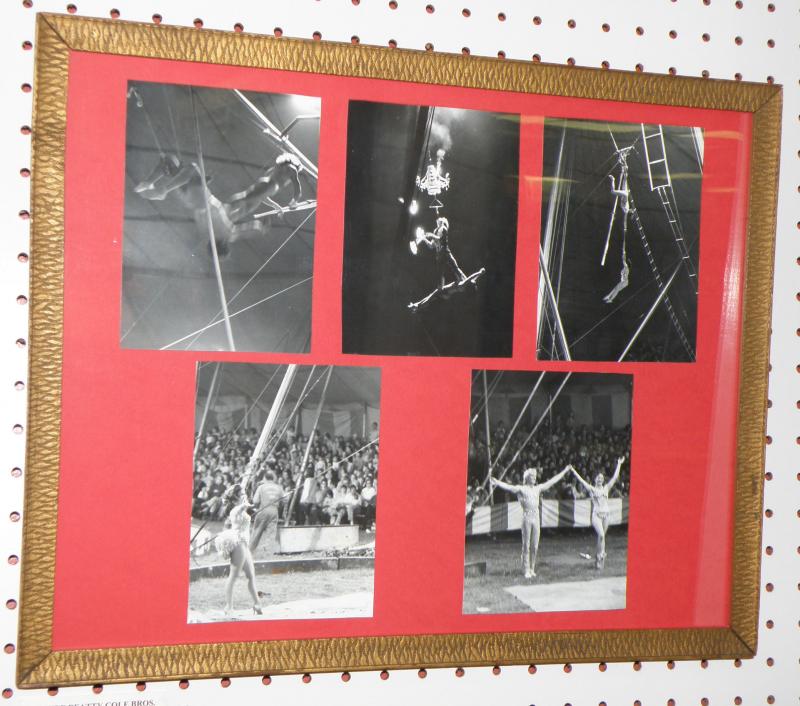 Clyde Beatty Cole Bros., Photos of Trapeze Performers  15.5 x 19  