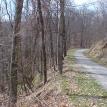 Lot 6 Road   with telephone and cable TV in place
