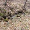 Lot 6 stream 