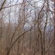 Lot 7 view NE 
