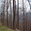 Lot 7 view NE 