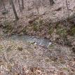 Lot 7 stream