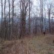 From lot 7 right road