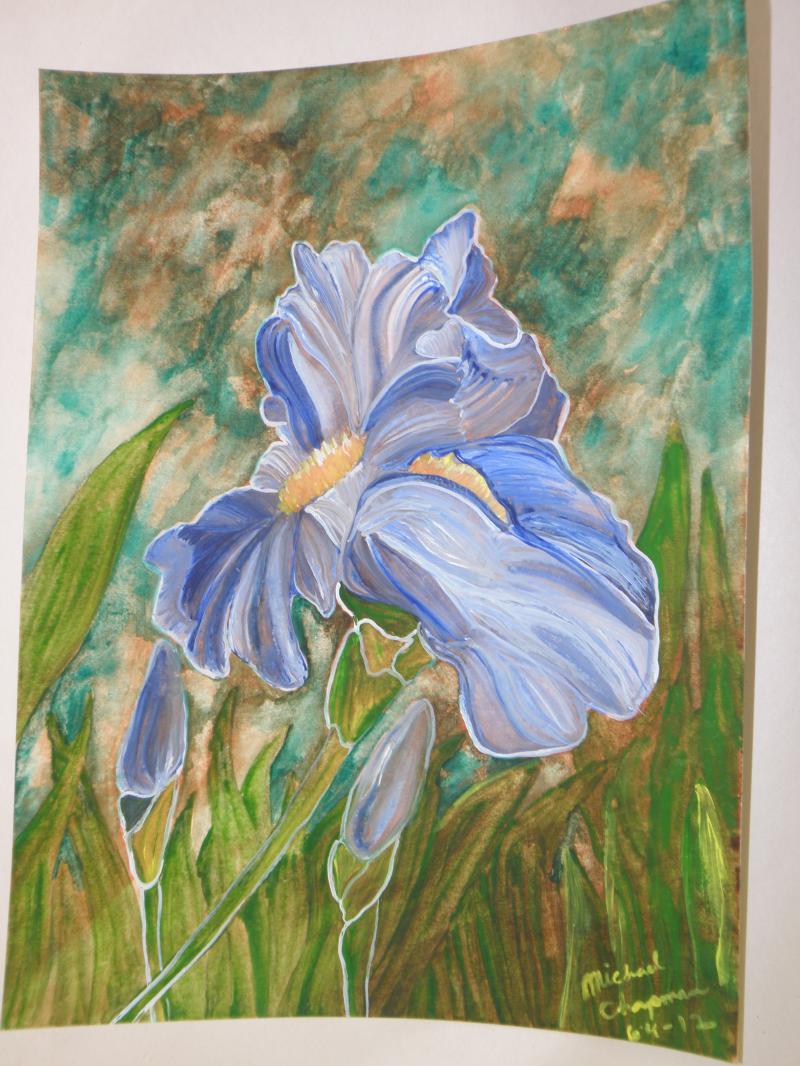 Michael Chapman  Iris Flower Acrylic Painting 