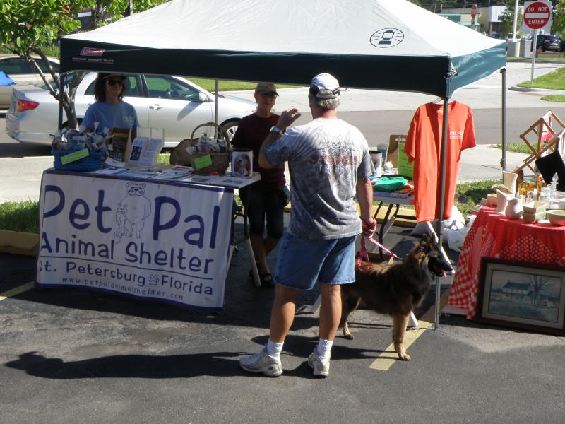 Pet Pal and Rare breed